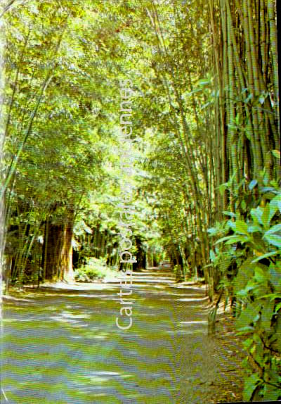 Cartes postales anciennes > CARTES POSTALES > carte postale ancienne > cartes-postales-ancienne.com Gard  Anduze