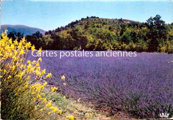 Cartes postales anciennes > CARTES POSTALES > carte postale ancienne > cartes-postales-ancienne.com Occitanie Gard Le Grau Du Roi