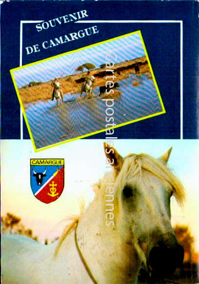 Cartes postales anciennes > CARTES POSTALES > carte postale ancienne > cartes-postales-ancienne.com Gard  Le Grau Du Roi
