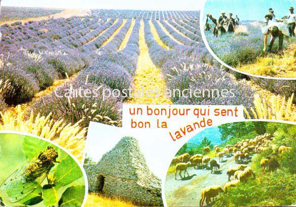 Cartes postales anciennes > CARTES POSTALES > carte postale ancienne > cartes-postales-ancienne.com Gard  Goudargues