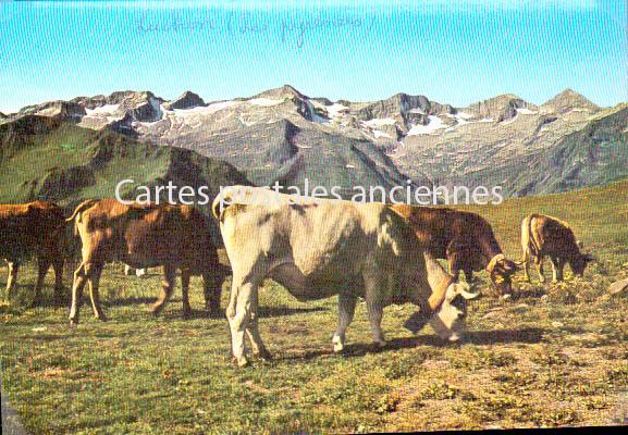 Cartes postales anciennes > CARTES POSTALES > carte postale ancienne > cartes-postales-ancienne.com Occitanie Bagneres De Luchon