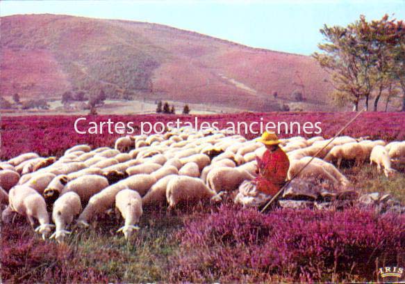 Cartes postales anciennes > CARTES POSTALES > carte postale ancienne > cartes-postales-ancienne.com Occitanie Gers Lectoure