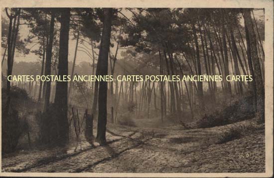 Cartes postales anciennes > CARTES POSTALES > carte postale ancienne > cartes-postales-ancienne.com Nouvelle aquitaine Arcachon