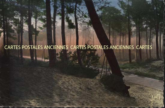 Cartes postales anciennes > CARTES POSTALES > carte postale ancienne > cartes-postales-ancienne.com Nouvelle aquitaine Gironde Arcachon