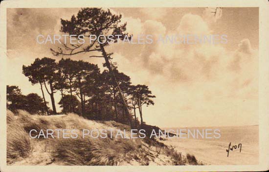 Cartes postales anciennes > CARTES POSTALES > carte postale ancienne > cartes-postales-ancienne.com Nouvelle aquitaine Arcachon