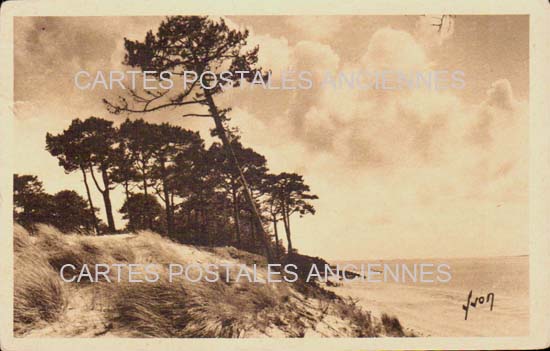 Cartes postales anciennes > CARTES POSTALES > carte postale ancienne > cartes-postales-ancienne.com Nouvelle aquitaine Gironde Arcachon