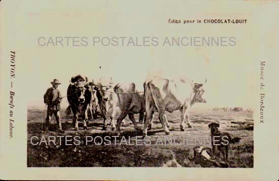 Cartes postales anciennes > CARTES POSTALES > carte postale ancienne > cartes-postales-ancienne.com Grand est Meuse Troyon