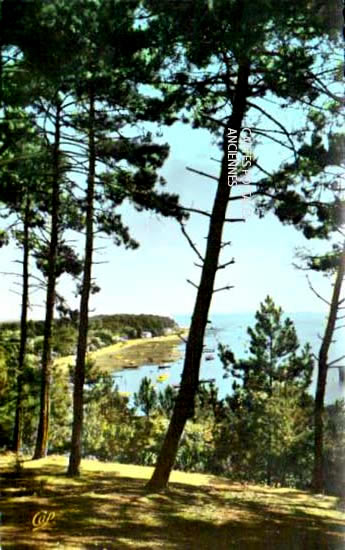 Cartes postales anciennes > CARTES POSTALES > carte postale ancienne > cartes-postales-ancienne.com Nouvelle aquitaine Gironde Arcachon