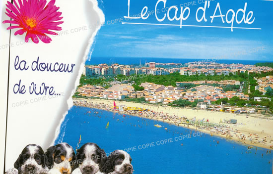 Cartes postales anciennes > CARTES POSTALES > carte postale ancienne > cartes-postales-ancienne.com Occitanie Herault Le Cap D Agde