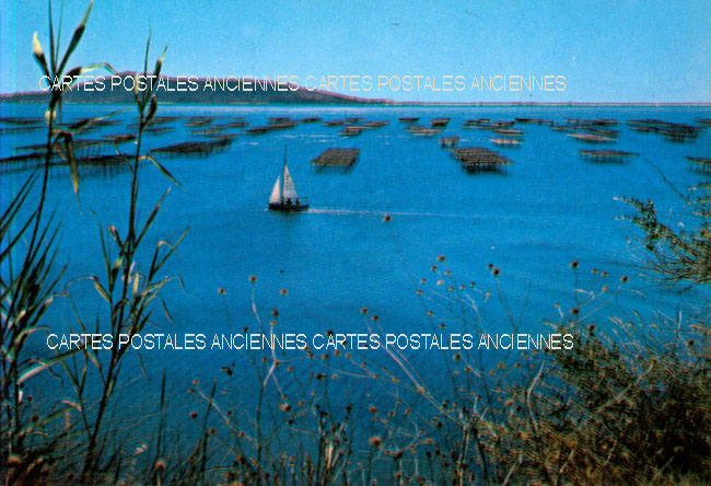Cartes postales anciennes > CARTES POSTALES > carte postale ancienne > cartes-postales-ancienne.com Occitanie Herault Gigean