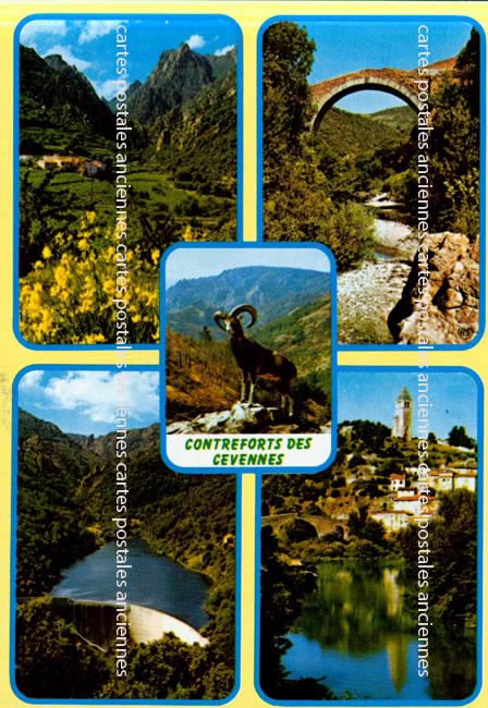 Cartes postales anciennes > CARTES POSTALES > carte postale ancienne > cartes-postales-ancienne.com Occitanie Herault Olargues