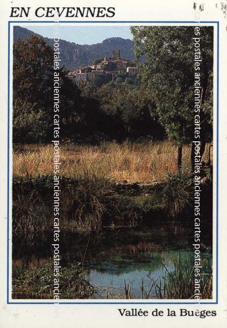 Cartes postales anciennes > CARTES POSTALES > carte postale ancienne > cartes-postales-ancienne.com Occitanie Herault Causse De La Selle