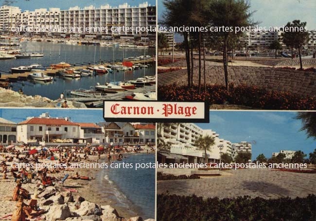 Cartes postales anciennes > CARTES POSTALES > carte postale ancienne > cartes-postales-ancienne.com Occitanie Herault Mauguio