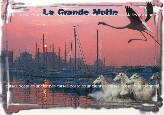 Cartes postales anciennes > CARTES POSTALES > carte postale ancienne > cartes-postales-ancienne.com Occitanie Herault La Grande Motte