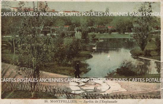 Cartes postales anciennes > CARTES POSTALES > carte postale ancienne > cartes-postales-ancienne.com Occitanie Herault Montpellier