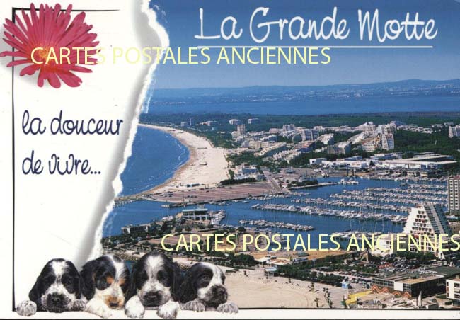 Cartes postales anciennes > CARTES POSTALES > carte postale ancienne > cartes-postales-ancienne.com Occitanie Herault La Grande Motte