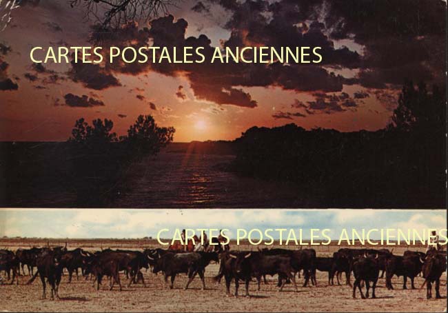 Cartes postales anciennes > CARTES POSTALES > carte postale ancienne > cartes-postales-ancienne.com Bouches du rhone  Arles