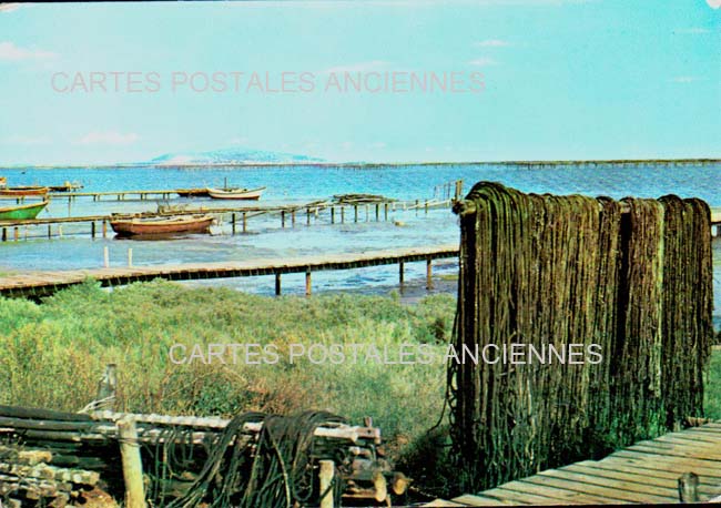 Cartes postales anciennes > CARTES POSTALES > carte postale ancienne > cartes-postales-ancienne.com Occitanie Herault Marseillan Plage