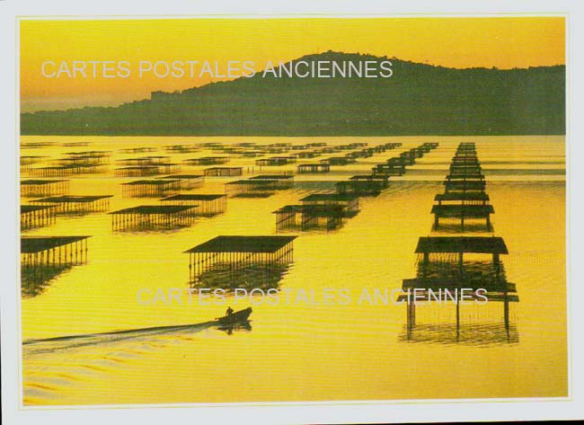 Cartes postales anciennes > CARTES POSTALES > carte postale ancienne > cartes-postales-ancienne.com Occitanie Herault Bouzigues