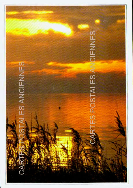 Cartes postales anciennes > CARTES POSTALES > carte postale ancienne > cartes-postales-ancienne.com Occitanie Herault Pezenas