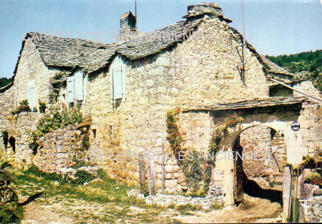 Cartes postales anciennes > CARTES POSTALES > carte postale ancienne > cartes-postales-ancienne.com Occitanie Herault Saint Martin De Londres