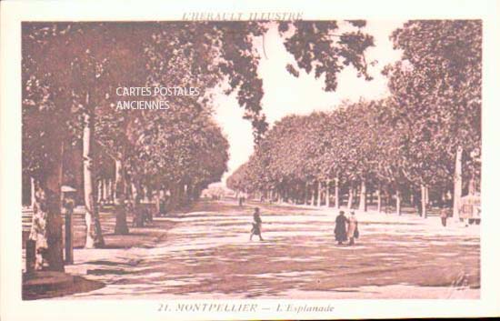 Cartes postales anciennes > CARTES POSTALES > carte postale ancienne > cartes-postales-ancienne.com Occitanie Herault Montpellier