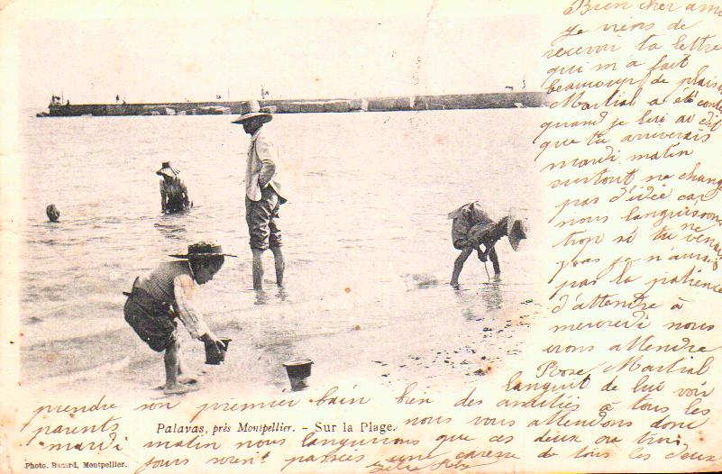 Cartes postales anciennes > CARTES POSTALES > carte postale ancienne > cartes-postales-ancienne.com Occitanie Herault Pardailhan