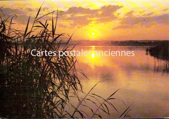 Cartes postales anciennes > CARTES POSTALES > carte postale ancienne > cartes-postales-ancienne.com Occitanie Herault Palavas Les Flots