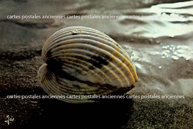 Cartes postales anciennes > CARTES POSTALES > carte postale ancienne > cartes-postales-ancienne.com Bretagne