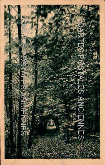 Cartes postales anciennes > CARTES POSTALES > carte postale ancienne > cartes-postales-ancienne.com Bretagne Bonnemain