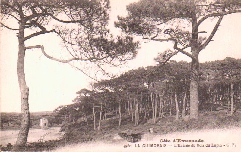 Cartes postales anciennes > CARTES POSTALES > carte postale ancienne > cartes-postales-ancienne.com Ille et vilaine  Saint Coulomb