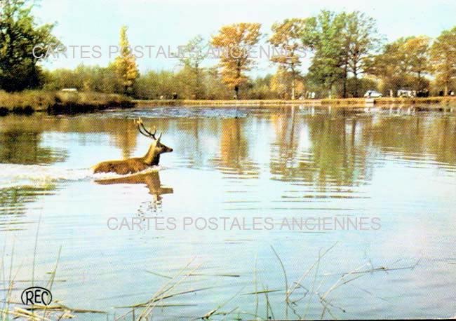 Cartes postales anciennes > CARTES POSTALES > carte postale ancienne > cartes-postales-ancienne.com Centre val de loire  Indre Chateauroux