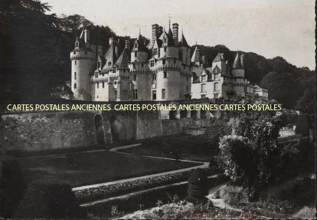 Cartes postales anciennes > CARTES POSTALES > carte postale ancienne > cartes-postales-ancienne.com Centre val de loire  Indre et loire Rigny Usse