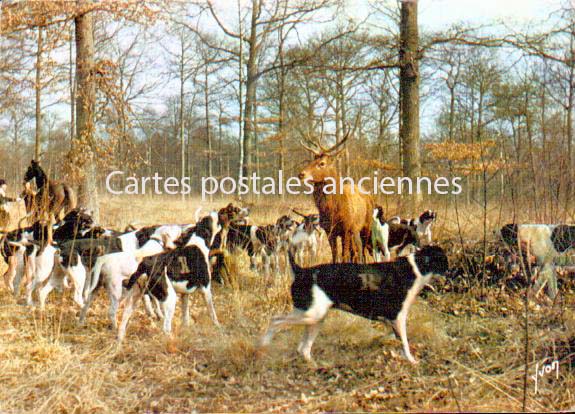 Cartes postales anciennes > CARTES POSTALES > carte postale ancienne > cartes-postales-ancienne.com Centre val de loire  Indre et loire Amboise