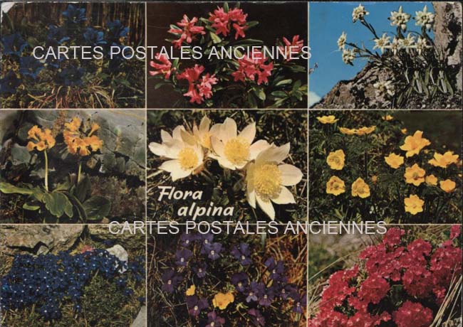 Cartes postales anciennes > CARTES POSTALES > carte postale ancienne > cartes-postales-ancienne.com Auvergne rhone alpes Isere Chichilianne