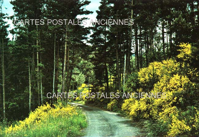 Cartes postales anciennes > CARTES POSTALES > carte postale ancienne > cartes-postales-ancienne.com Loire  Usson En Forez