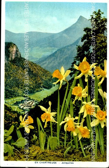 Cartes postales anciennes > CARTES POSTALES > carte postale ancienne > cartes-postales-ancienne.com Auvergne rhone alpes Isere Saint Pierre De Chartreuse