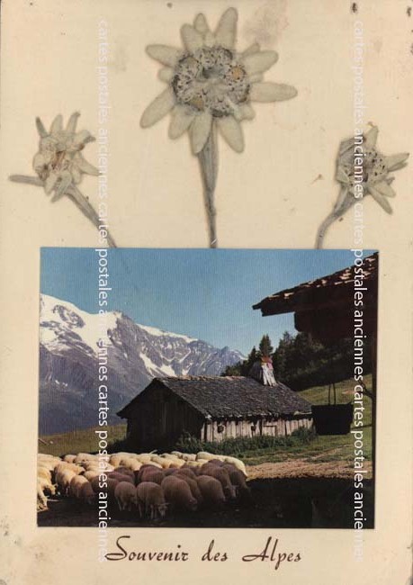 Cartes postales anciennes > CARTES POSTALES > carte postale ancienne > cartes-postales-ancienne.com Auvergne rhone alpes Isere Villard De Lans