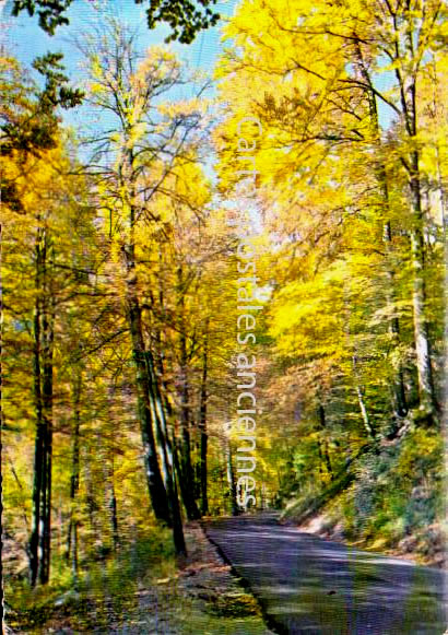 Cartes postales anciennes > CARTES POSTALES > carte postale ancienne > cartes-postales-ancienne.com Auvergne rhone alpes Isere Saint Pierre De Chartreuse