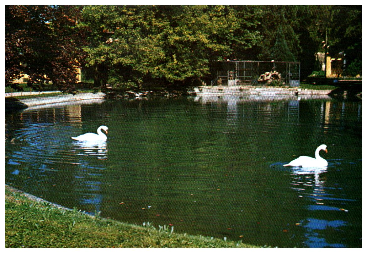 Cartes postales anciennes > CARTES POSTALES > carte postale ancienne > cartes-postales-ancienne.com Auvergne rhone alpes Isere Voiron