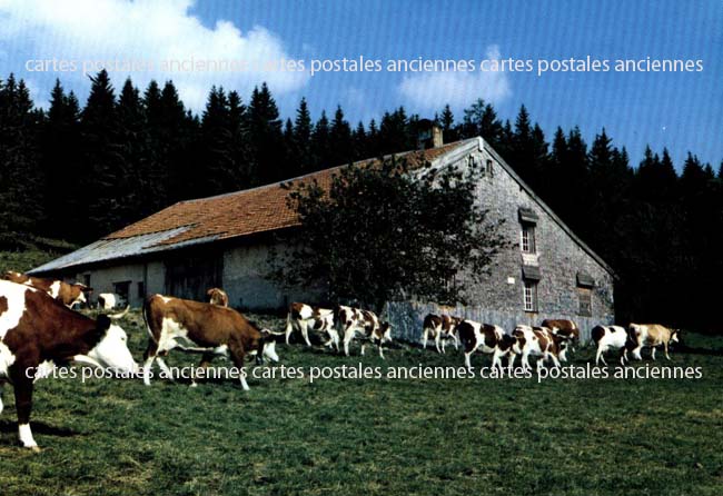 Cartes postales anciennes > CARTES POSTALES > carte postale ancienne > cartes-postales-ancienne.com Jura
