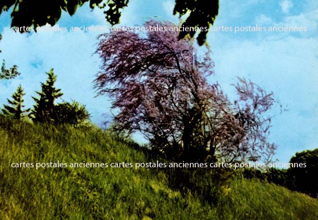 Cartes postales anciennes > CARTES POSTALES > carte postale ancienne > cartes-postales-ancienne.com Jura