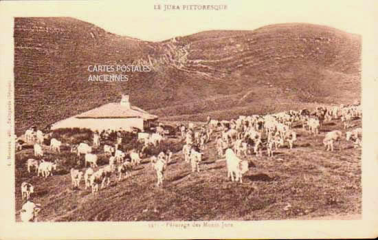 Cartes postales anciennes > CARTES POSTALES > carte postale ancienne > cartes-postales-ancienne.com Bourgogne franche comte Jura Les Planches En Montagne