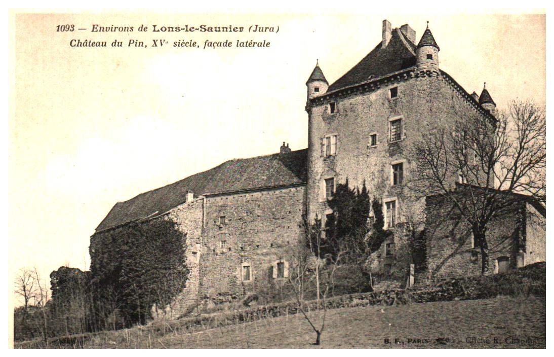 Cartes postales anciennes > CARTES POSTALES > carte postale ancienne > cartes-postales-ancienne.com Bourgogne franche comte Jura Le Pin
