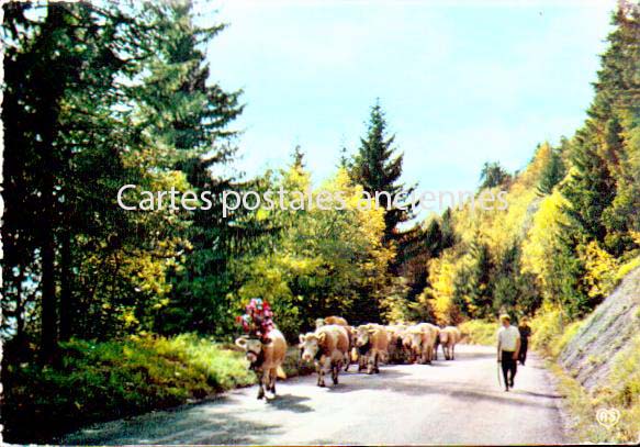 Cartes postales anciennes > CARTES POSTALES > carte postale ancienne > cartes-postales-ancienne.com Bourgogne franche comte Jura Les Rousses