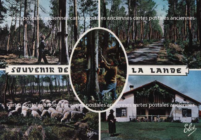 Cartes postales anciennes > CARTES POSTALES > carte postale ancienne > cartes-postales-ancienne.com Nouvelle aquitaine Landes