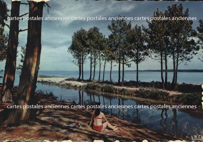 Cartes postales anciennes > CARTES POSTALES > carte postale ancienne > cartes-postales-ancienne.com Nouvelle aquitaine Landes