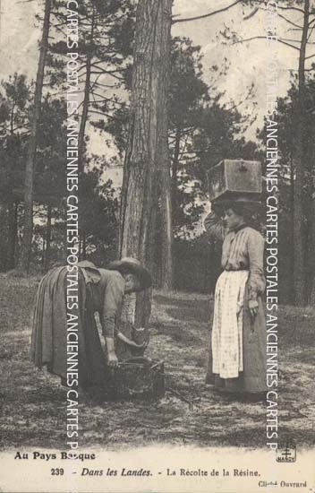 Aquitaine Landes Campet Et Lamolere