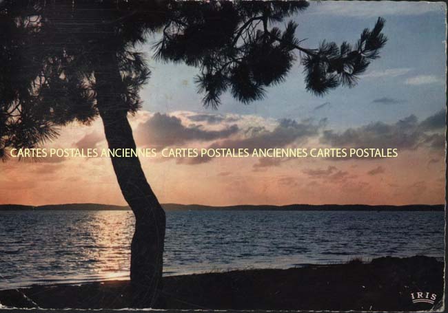 Cartes postales anciennes > CARTES POSTALES > carte postale ancienne > cartes-postales-ancienne.com Nouvelle aquitaine Landes Vieux Boucau Les Bains