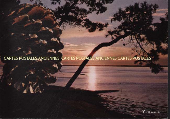 Cartes postales anciennes > CARTES POSTALES > carte postale ancienne > cartes-postales-ancienne.com Nouvelle aquitaine Landes Aureilhan